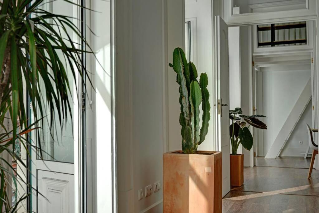 Unique Sao Bento Apartment Ideal For A Group Lisboa Eksteriør bilde